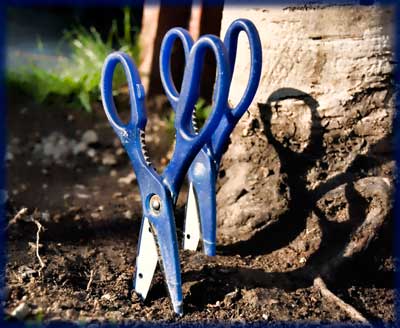 Scissors And Their Superstitions Odd Random Thoughts