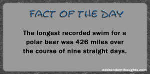 Random Fact of the Day