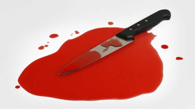 Bloody Serial Killer Knife