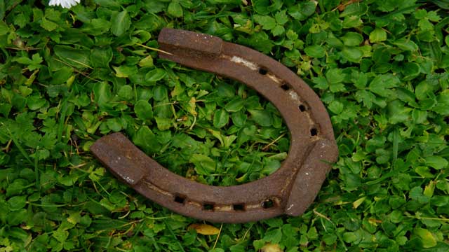 Horseshoes and Lucky Charms