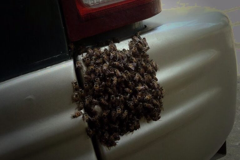 A dense swarm of insects covering a tree in the dark, evoking a nightmare