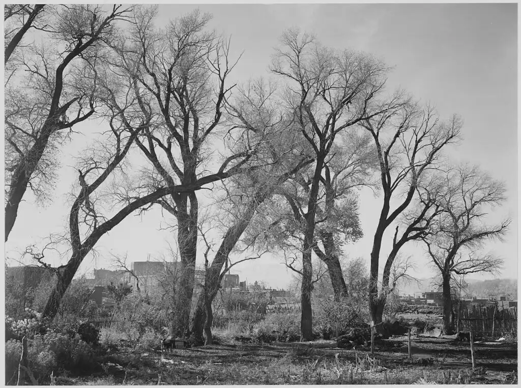 Ansel Adams' photograph of Taos Pueblo in New Mexico, near where the Taos Hum is reported